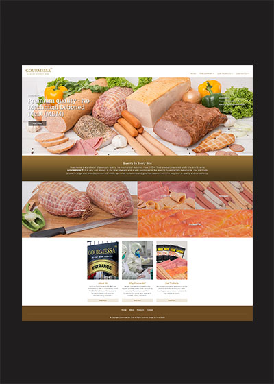 Company web design for Gourmessa - Henz Studio